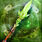 Heart of the Woods2.jpg
