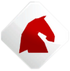 Grand Thief Dressage