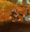 BlackmawShaman