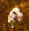BlackmawPathfinder