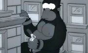 Kong