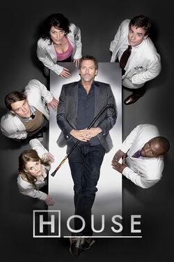House Season 2 Poster