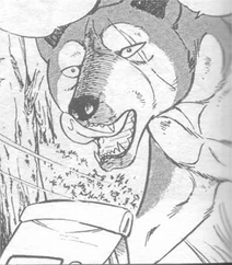 Bwblue002
