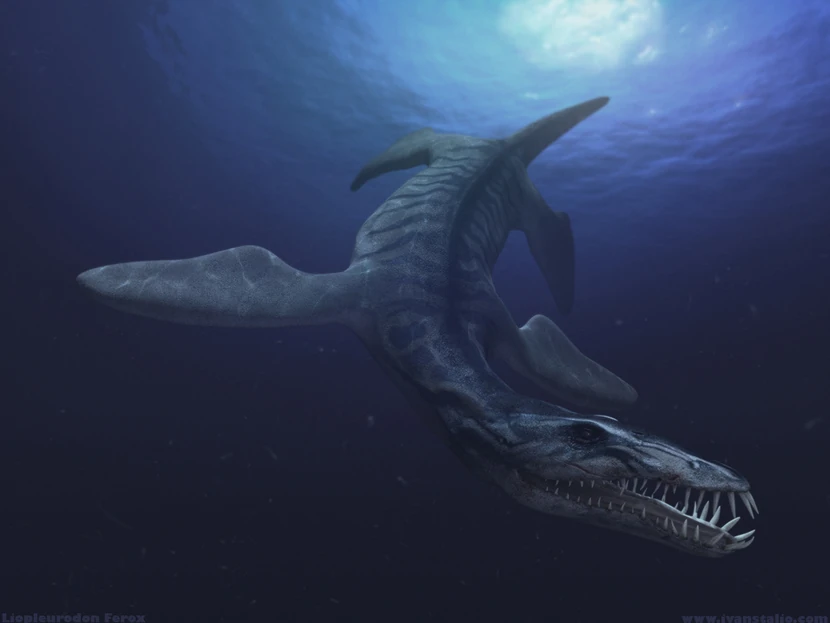 830px-Liopleurodon_BW.jpg