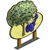 Damson Tree