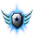 Casual Campaign Ace SC2 Medals1