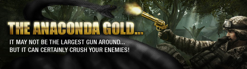 Combat Arms Banner