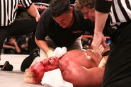 Sacrifice 2010 72