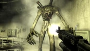 Grayjack 02