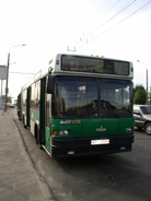 Bus MAZ-105