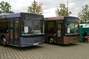 MAZ-203 and MAZ-206