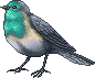 T adult 2.gif