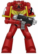Genesis Chapter Marine