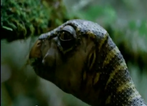 Leaellynasaura - Walking With Wikis - the free Walking with ... Walking With Dinosaurs Edmontonia Leaellynasaura - Walking With Wikis - the free Walking with ... Walking With Dinosaurs Edmontonia