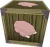 Raw bird meat pack detail