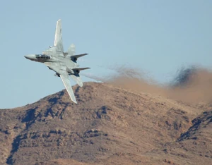 F14 Tomcat