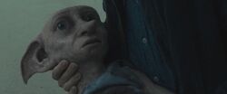 Dobby's Death - In Harry's arms
