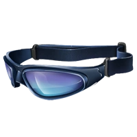 Huge item hornetgoggles 01.png