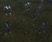 Image of Bloodfang Stalker