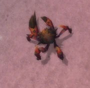 SpineshellPincer