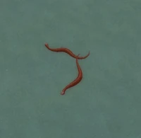 Image of Swarming Serpent