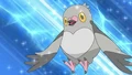 EP670 Pidove de Ash.jpg