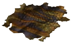 Golden gecko hide
