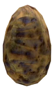 Golden Gecko egg