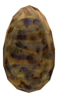 Golden Gecko egg