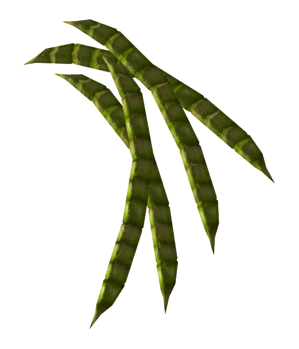 HoneyMesquitePod-nobg