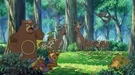 P11 Pokémon del bosque