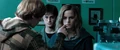 DH1 Ron Weasley asking Hermione to use memory charm over the stunned Death Eater.jpg