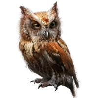 Huge item screechowl 01.png