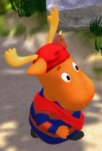 Tyronecaptain