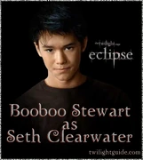 Booboo-seth-graphic