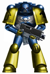 Raptor Legion-Updated