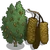 Downy Birch Tree-icon.png