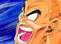 Nappa14