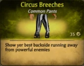 Circus breeches