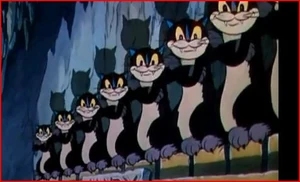 CatsPJD
