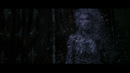 NarnianDryad4