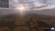 Gswamps
