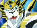Tigrerra Anime