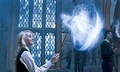 Patronus luna.jpg
