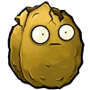 Wallnut cracked1