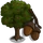 Oak Tree (tree)-icon