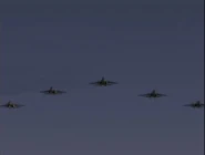 Aquila