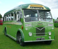 Southdown 649