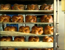 Shalom14-15.jpg