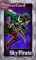 Male Sky Pirate Card